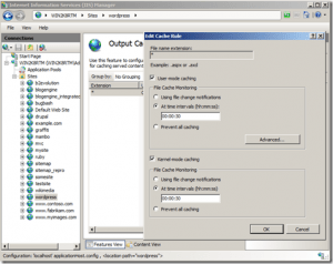 Speeding up wordpress in IIS and linux.